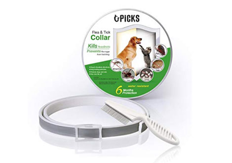 Collar anti garrapatas para galgos
