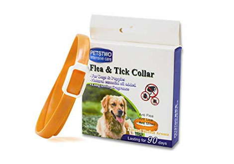 Collar antipulgas para galgos
