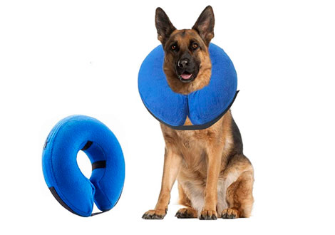 Collar de recuperación quirúrgica