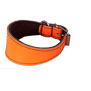 Collar para galgo