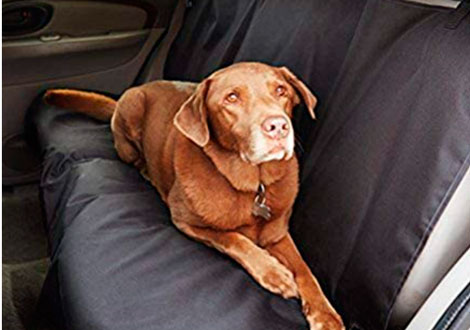 Funda coche para galgo