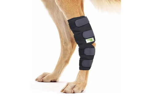 Muñequera para galgos
