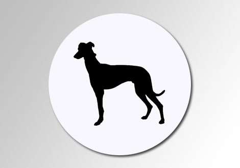 pegatina galgos