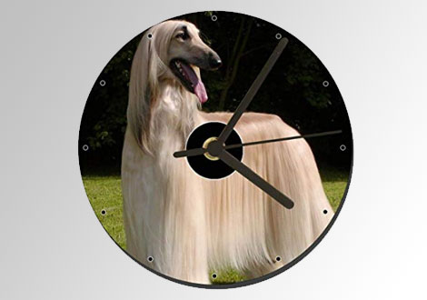 Reloj galgo afgano