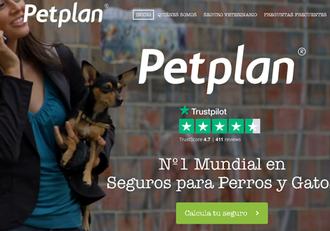 Seguros para galgos