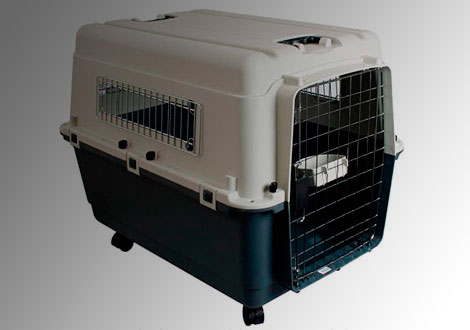 Transportín para galgos