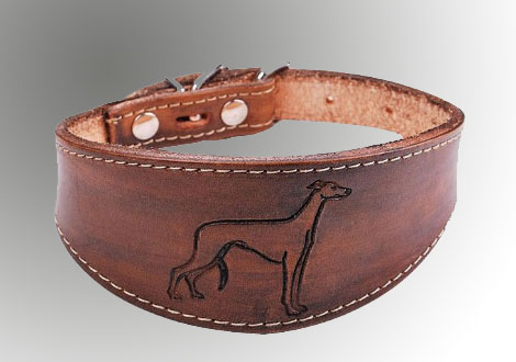 Collares para galgos