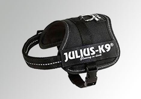 Arnés para galgos
