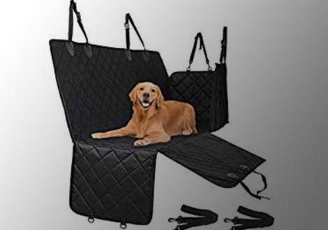 Funda coche para galgos